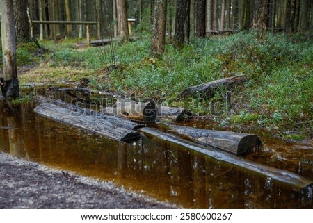 Similar – Image, Stock Photo Stream with dead tree trunks in autumn in gloomy mood, flowing water