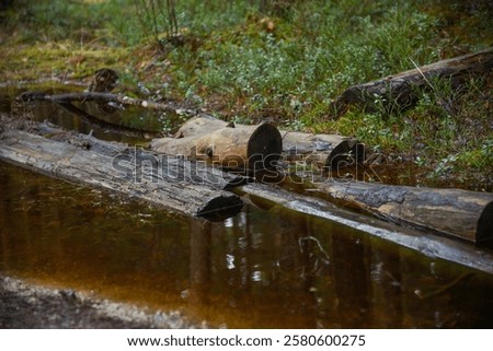 Similar – Image, Stock Photo Stream with dead tree trunks in autumn in gloomy mood, flowing water