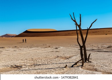 Dead Trees against against the red backdrop of the towering sand dunes of Namibia's Deadvlei