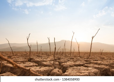 Dead trees on drought and cracked land at dry river or lake, metaphor climate change, global warming and water crisis at africa or ethiopia - Shutterstock ID 1384058900