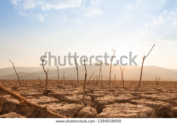 Dead trees on drought and cracked land at dry\
river or lake, metaphor climate change, global warming and water\
crisis at africa or\
ethiopia