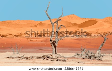 Similar – arid expanse Landscape