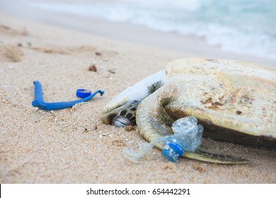 Dead Turtle With A Plastic Garbage On Ocean Beach