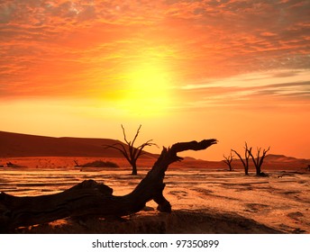 Dead valley in Namibia