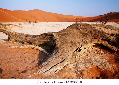 Dead Valley In Sossusvlei, Namibia