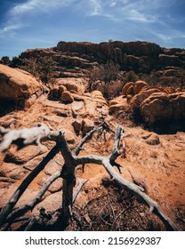 A Dead Vegetation And Rocks Form The Landscape At Watson Lake In Prescott, Arizona, USA