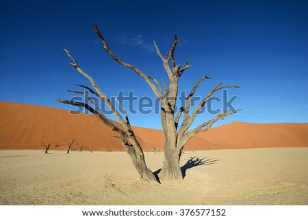 Similar – Einsamkeit Africa Desert