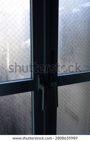  In the dead of winter, condensation from the heating system moistens the window.                              