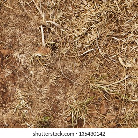 Dead Yellow Weeds And Brown Soil Abstract