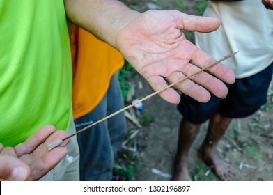 Deadly Dart Poisoned For Blowgun Used By The Wana People For Hunting

 
