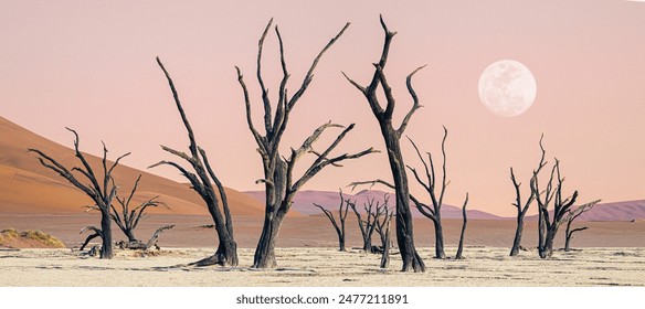 Deadvlei salt pan and dried acacia trees in Sossusvlei, Namibia. Dry dead trees, red sand dunes and moon over calm landscape of Namib desert on dawn, wilderness of an arid African desert. - Powered by Shutterstock