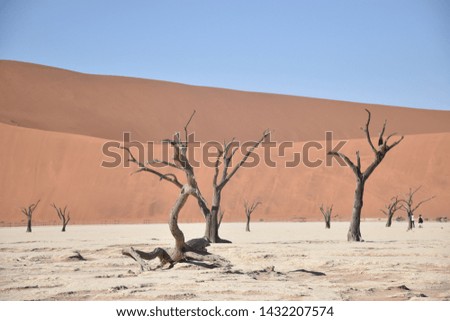 Similar – Dead Vlei Namibia