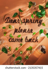 Dear Spring Spring Please Come Back Text Made Out Of Soil, Real Type Flatlay