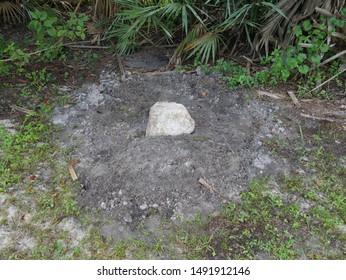 Death Of Pet Burial Site