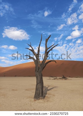 Similar – Einsamkeit Africa Desert