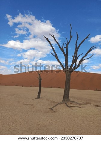 Similar – Dead Vlei Namibia