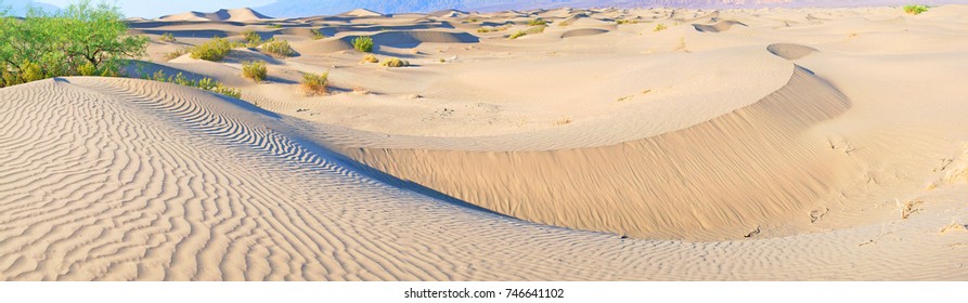 Shifting Sands Images Stock Photos Vectors Shutterstock