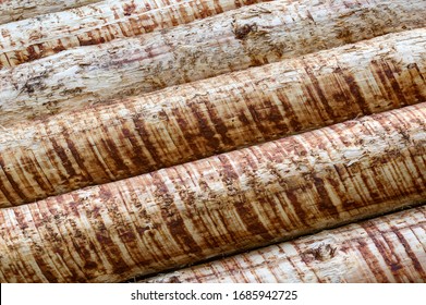 Debarked tree trunks. Debarking promotes the drying of the wood. This also deprives wood fungi or insects living and breeding in the wood of their habitat.