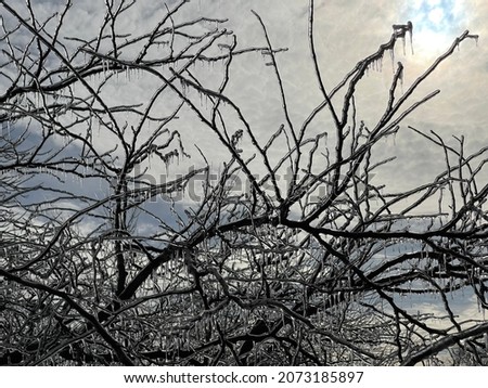 The debilitating ice storm 