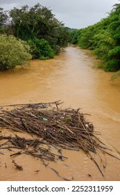 debris and accumulated dirt in the flooded muddy riverbed, after heavy rains in forest area. - Shutterstock ID 2252311959