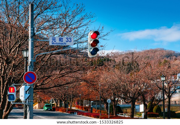 DEC 2, 2018 Hakodate, JAPAN -Street\
traffic light at pedestrain crossing on Motomachi road with\
leafless tree along both sides with blue winter\
sky.