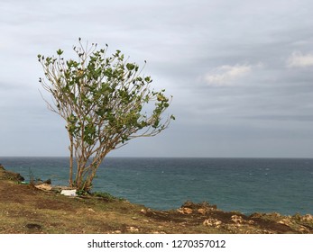 Pantai Balangan Images Stock Photos Vectors Shutterstock