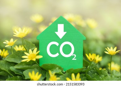 Decarbonization Of Real Estate. Lower CO2 Emissions And Reduce Carbon. Green House On Flower Background