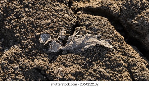 3,751 Decaying corpse Images, Stock Photos & Vectors | Shutterstock