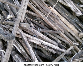 Decay Woods Stock Photo 560727181 | Shutterstock