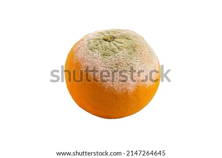 decayed orange isolated on white background