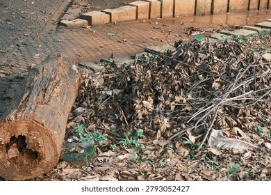 Decayed tree log and dry leaves piled beside a paved walkway, highlighting natural decomposition, environmental conditions, and outdoor landscape maintenance.