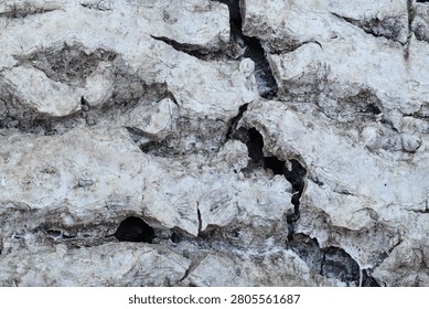 Decayed walnut tree bark background