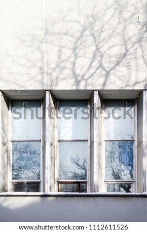 Image, Stock Photo bare little trees on a roof terrace