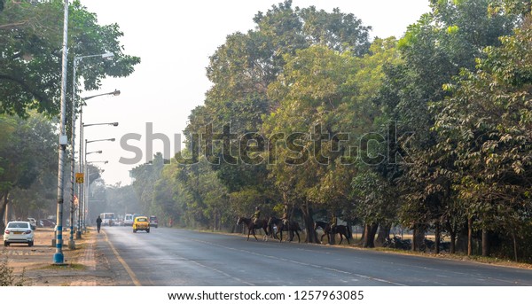 December\
13,2018. Kolkata, India. Police surgeons Of kolkata Police crossing\
Red Road on their horses on misty morning\
.