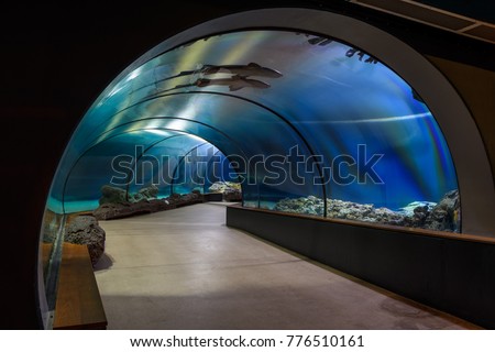 december 2017 aquarium blijdorp zoo rotterdam stock photo edit now
