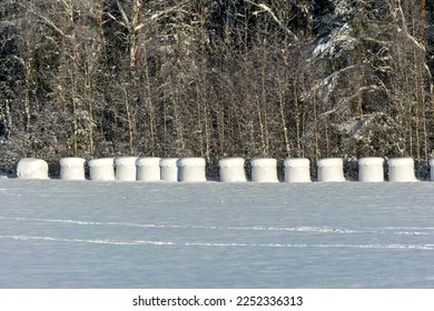 December's dreamy frosty morning. Beautiful winter cold landscape in blue tones - Shutterstock ID 2252336313