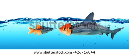 Deception Concept - Disguise Between Shark And Goldfish
