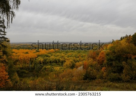 Deciduous forest in early autumn under a gray sky