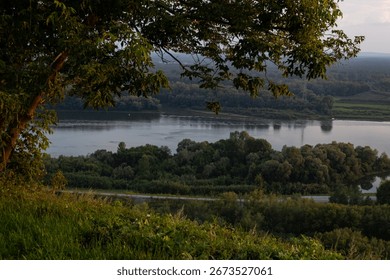Deciduous tree, grass and flowers, view from the hill to the river and forest. Ufa, Bashkiria. Summer evening.