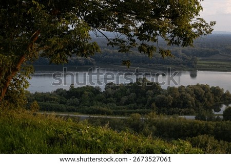 Deciduous tree, grass and flowers, view from the hill to the river and forest. Ufa, Bashkiria. Summer evening.
