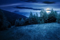 Deciduous Trees On A Grassy Meadow At Night. Magical Carpathian Landscape In Full Moon Light
