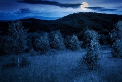 Deciduous Trees On A Grassy Meadow At Night. Magical Carpathian Landscape In Full Moon Light
