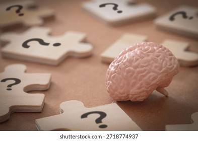 Deciphering Complexity: Human Mind Analyzing Information and Seeking Answers