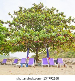 deck chairs on the beach