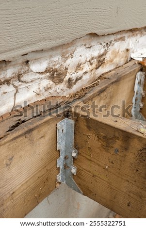 Deck Ledger Board Incorrectly Installed over Wood Siding has led to Extensive Dry Rot and Damage