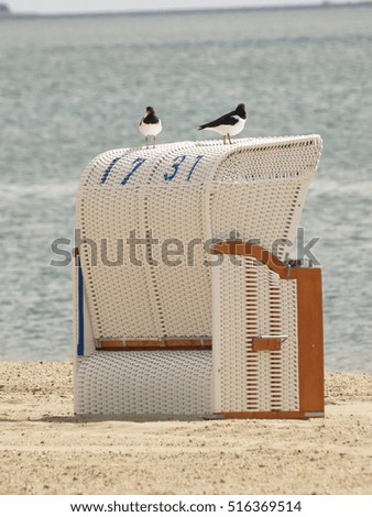 Similar – eine Möwe sitzt auf Strandkorb Nummer 225 vor blauem Himmel