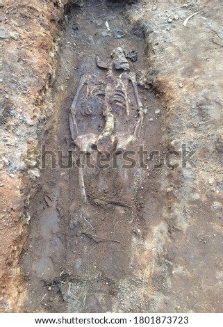 Decomposing buried skeleton with poor preservation, archaeological excavation.