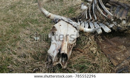 Decomposition is a natural process