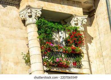 Decorated Balcony, Mediterranean Climate Flora And Architecture