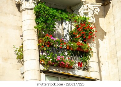 Decorated Balcony, Mediterranean Climate Flora And Architecture